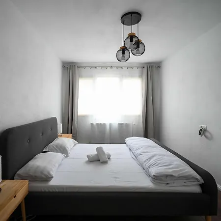 Joy Pavel Rotariu 19