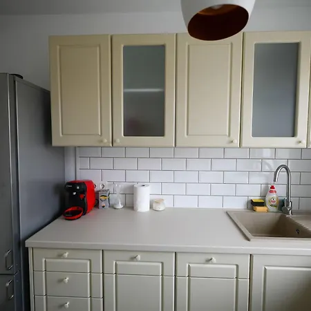 Joy Pavel Rotariu 19 * ティミショアラ