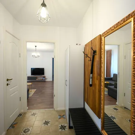 Joy Pavel Rotariu 19 * ティミショアラ