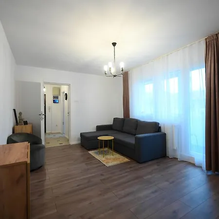 Joy Pavel Rotariu 19