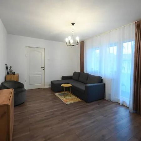 アパート Joy Pavel Rotariu 19