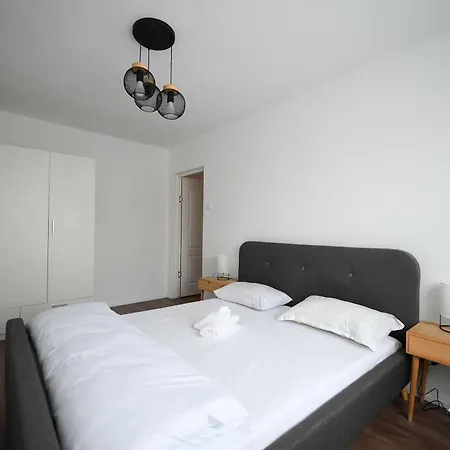 Joy Pavel Rotariu 19 ティミショアラ