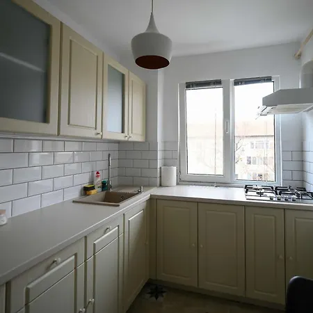 Joy Pavel Rotariu 19