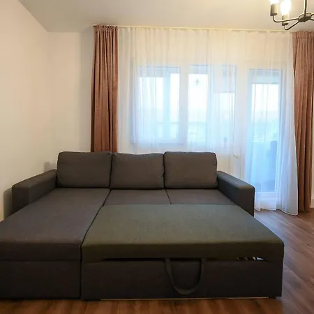 Joy Pavel Rotariu 19 * ティミショアラ