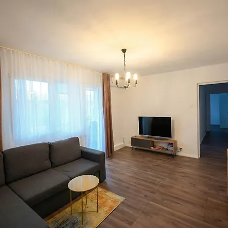 Joy Pavel Rotariu 19 Timişoara