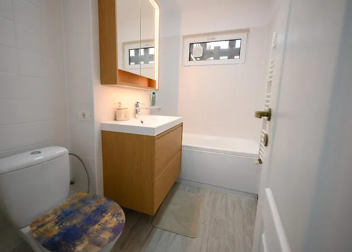 Joy Pavel Rotariu 19 Apartamento Timişoara