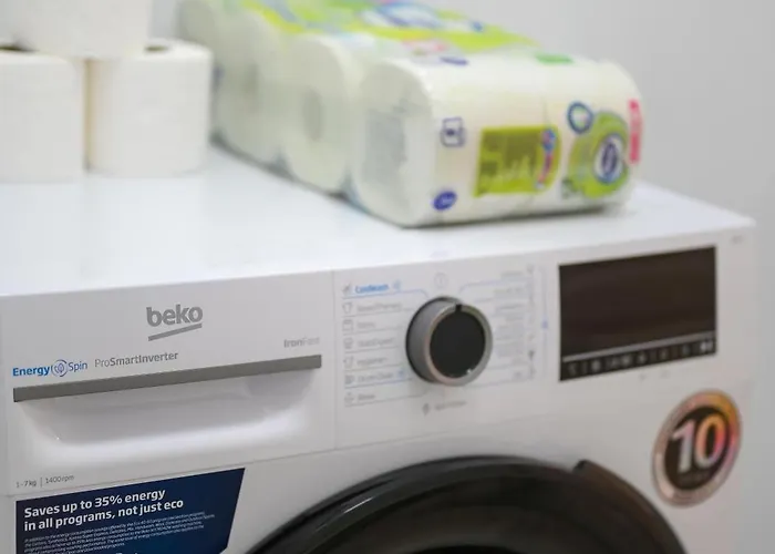 Joy Pavel Rotariu 19 Apartamento