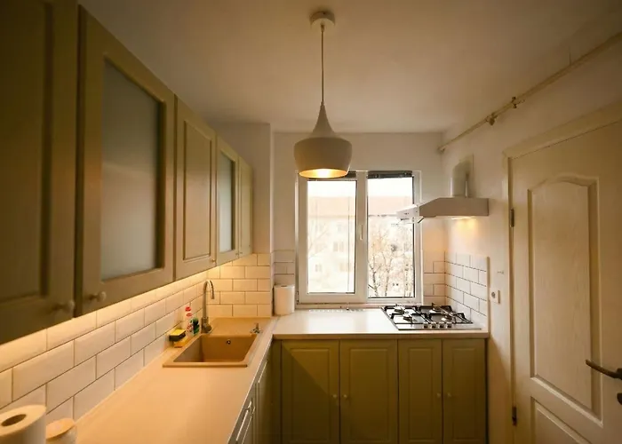 Joy Pavel Rotariu 19 *