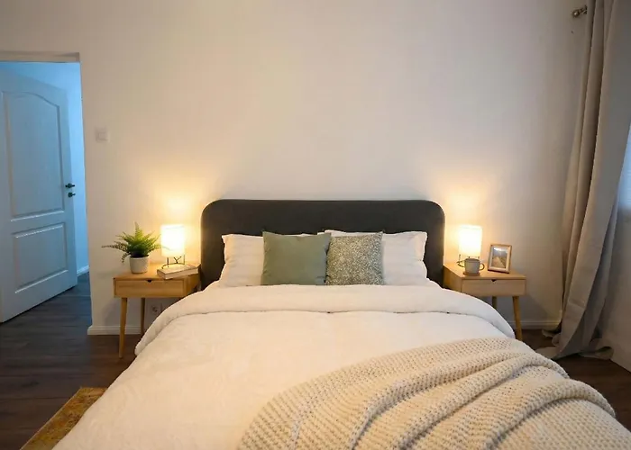 Joy Pavel Rotariu 19