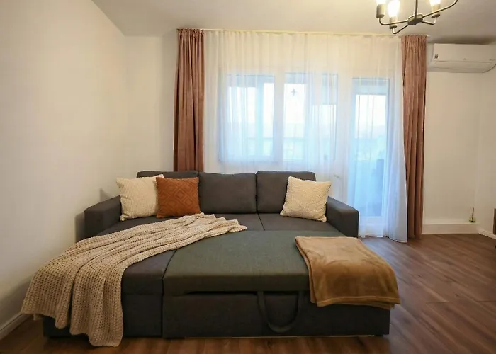 Joy Pavel Rotariu 19 Timişoara