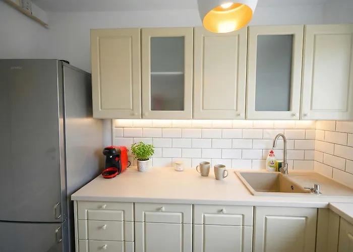 Joy Pavel Rotariu 19 Apartamento Timişoara