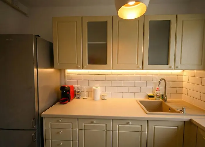 Joy Pavel Rotariu 19 * Timişoara