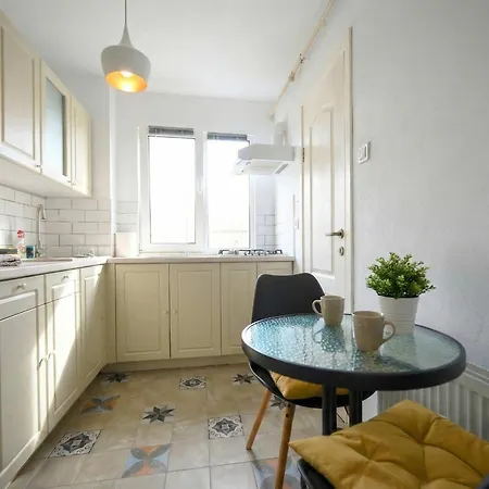 Joy Pavel Rotariu 19 Apartment