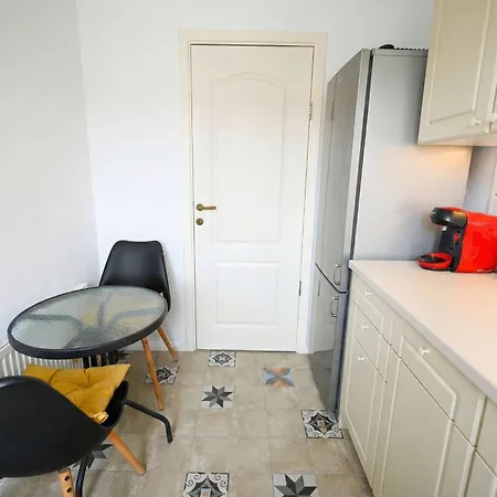 Joy Pavel Rotariu 19 Apartment *