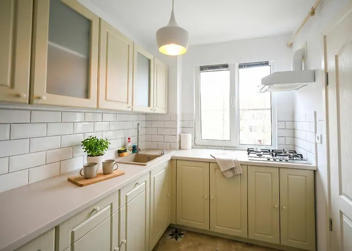 Apartment Joy Pavel Rotariu 19 Timişoara