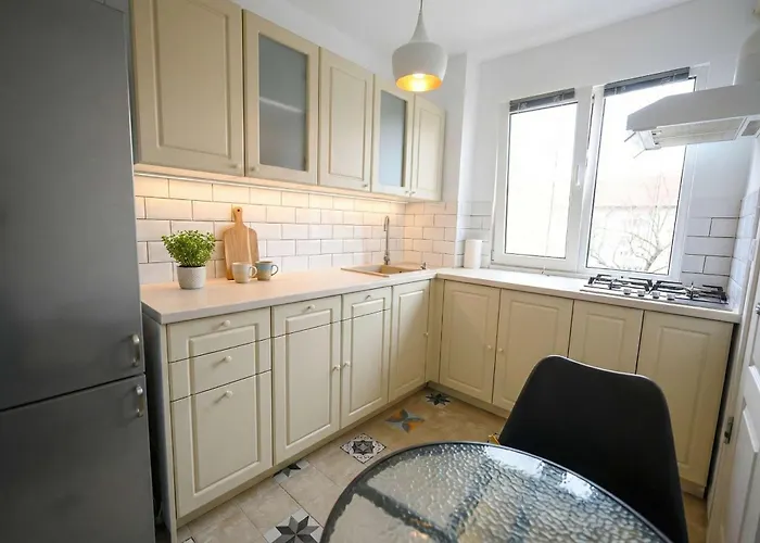 Joy Pavel Rotariu 19 Apartment Timişoara