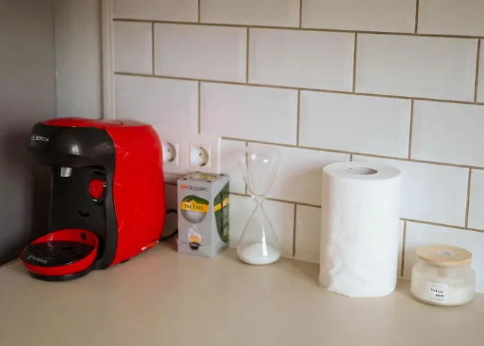 Joy Pavel Rotariu 19